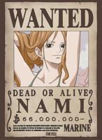 Poster One Piece Wanted Nami 38x52cm