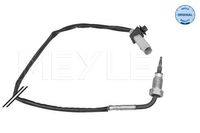 Sensor, uitlaatgastemperatuur 1148000243