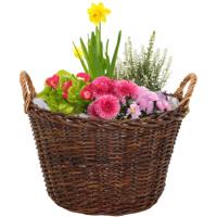 Mega Collections aardappelmand/plantenmand - Santa Fe - met handgreep - rotan - B52 x H33 cm