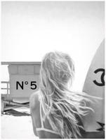 Schilderij 42x52cm strandwacht huisje no.5 Coco Chanel