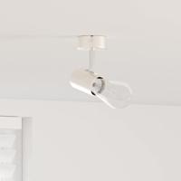 VidaXL Plafondspot met schijnwerpers nikkel 6,5 x 6 x 11,5 cm metaal