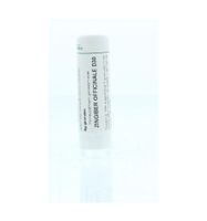 Zingiber officinalis D30 - thumbnail