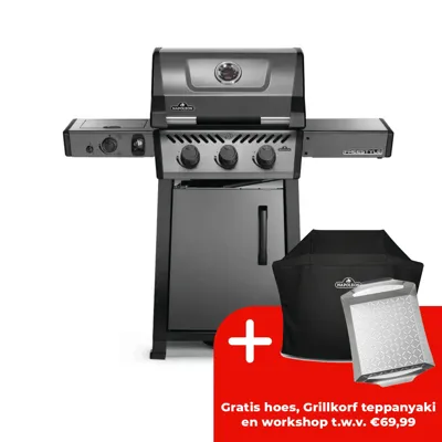 Napoleon Freestyle™ 365 DSIB Grafietgrijs