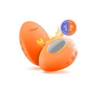 Kogel Vibrator We-Vibe