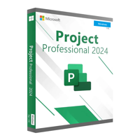 PROJECT Professional 2024 · 1PC · CD Key