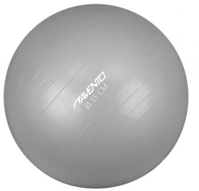 Avento fitnessbal 55 cm rubber zilver