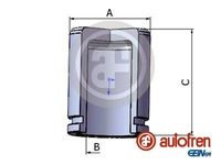 Zuiger, remklauw D025434 - thumbnail