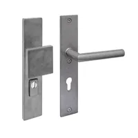 Intersteel SKG3 veiligheidsbeslag greep/kruk Jura PC72 met kerntrekbeveiliging RVS Getrommeld