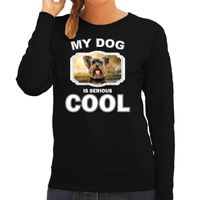 Yorkshire terrier honden sweater / trui my dog is serious cool zwart voor dames