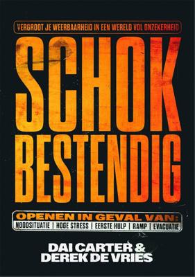 Schokbestendig (Paperback)