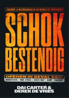 Schokbestendig (Paperback) Schokbestendig (Paperback)