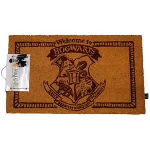 SD Toys Harry Potter: Welcome to Hogwarts 60 x 40 cm Doormat deurmat