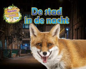 De stad in de nacht (Hardback)