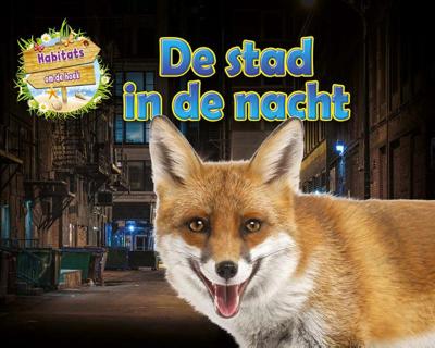 De stad in de nacht (Hardback)