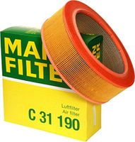 Luchtfilter C31190