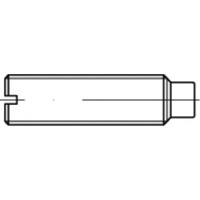 TOOLCRAFT TO-5435019 Draadpen M5 10 mm 100 stuk(s)