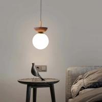 Minimalistische Scandinavische Hanglamp Van Halfhout