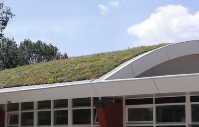 Sedummixmat Compleet (incl. drainage type 11c & daktuinsubstraat) per 1.2 m2 max. 25 graden - Sempergreen