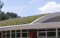 Sedummixmat Compleet (incl. drainage type 11c & daktuinsubstraat) per 1.2 m2 max. 25 graden - Sempergreen