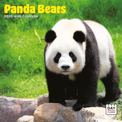 Panda Kalender 2026