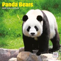 Panda Kalender 2026