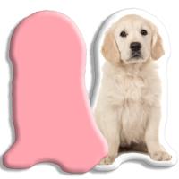 Kleur Achterzijde: - Pillow Buddies