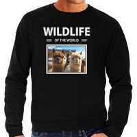 Alpaca sweater / trui met dieren foto wildlife of the world zwart voor heren