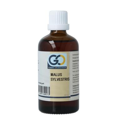 Malus sylvestrus bio