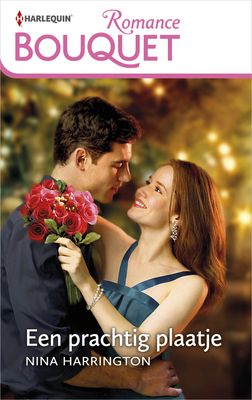 Een prachtig plaatje - Nina Harrington - ebook