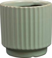 Pot siebe mint d8h7 cm TS - Ts