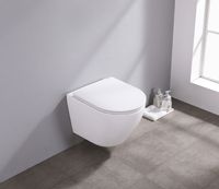 Saniclear Itsie mat witte toiletpot randloos met softclose zitting - thumbnail