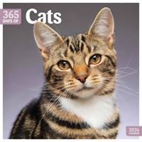 365 Dagen Katten Kalender 2026