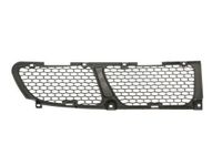 Ventilatiegrille, bumper 6502073191911P