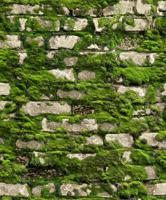 Noordwand Textura Behang stenen muur met mos - 1545732