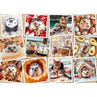 Puzzel van 1500 stukjes: schattige dierenfoto - thumbnail
