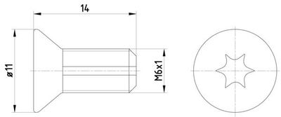 Schroef, remschijf 2 stuks TPM0012