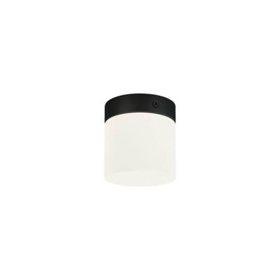 Lyora Ø 10cm badkamer plafondlampCayo - 8055