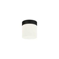 Lyora Ø 10cm badkamer plafondlampCayo - 8055