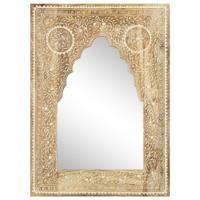 VidaXL Spiegel handgeschilderd 40x55 cm massief mangohout