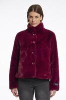 Rino&Pelle Jack Vie.7002511