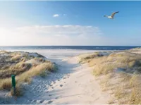 Anna's Collection tuinschilderij strand zeemeeuw 78x2cm multi