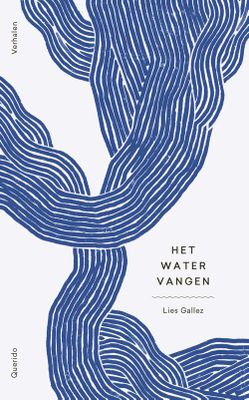 Het water vangen - Lies Gallez - ebook