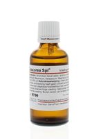 Pascoe Dioscorea similiaplex (50 ml)