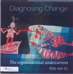 Diagnosing Change (Paperback)