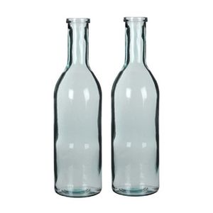 2x Glazen fles / vaas transparant 50 x 15 cm