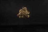 Kerstboom LED Dorion S zwart Countryfield - Countryfield