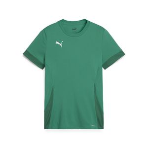 PUMA teamGOAL Voetbalshirt Kids Groen Wit