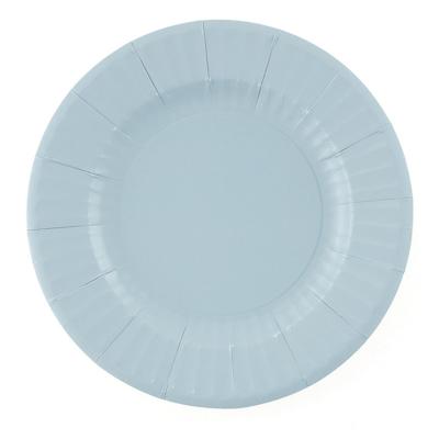Feestbordjes/gebaksbordjes - 8x - lichtblauw - rond - papier/karton - 21cm
