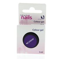 Sibel Nails Gels Colour Gel Purple Rain 5ml Sibel Nails Gels Colour Gel Purple Rain 5ml