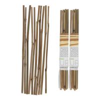 Gerimport Plantenstokken - 20x stuks - 30 cm - plantensteun / tonkinstokken
